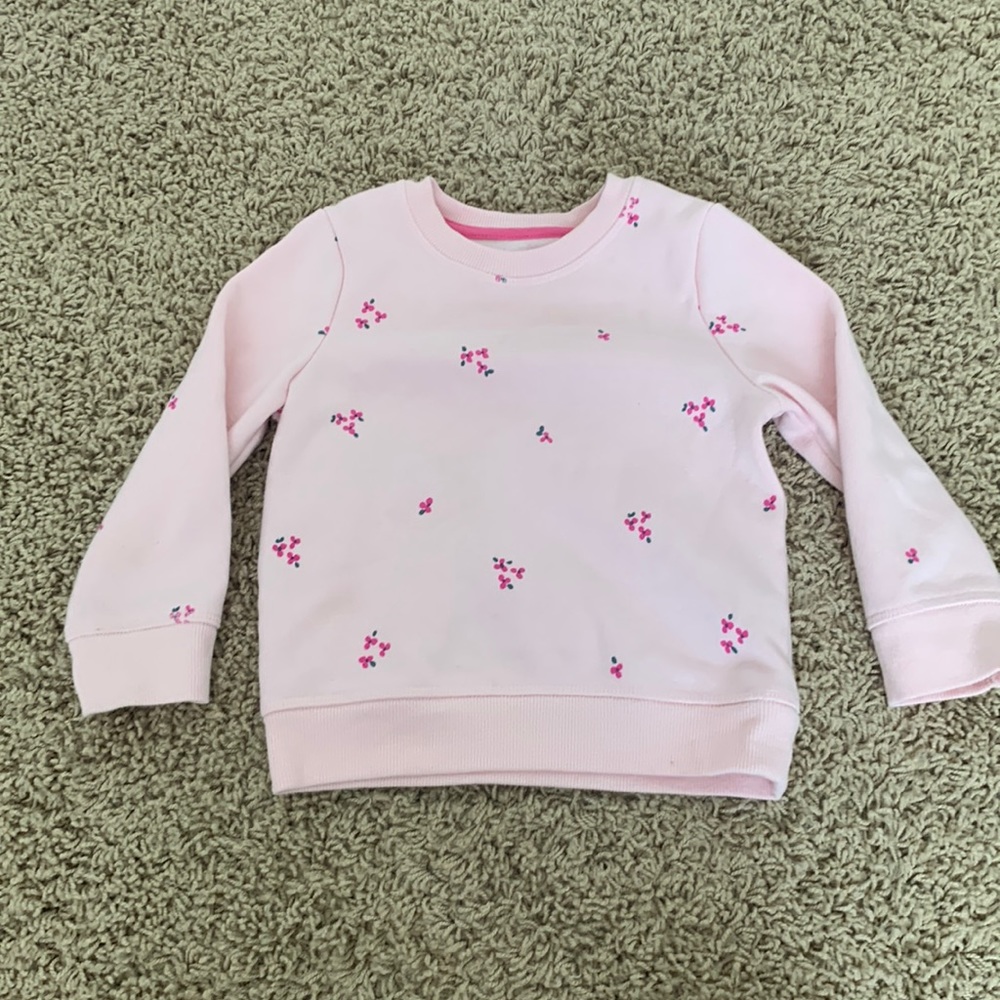 Sweatshirt for Toddler Girl